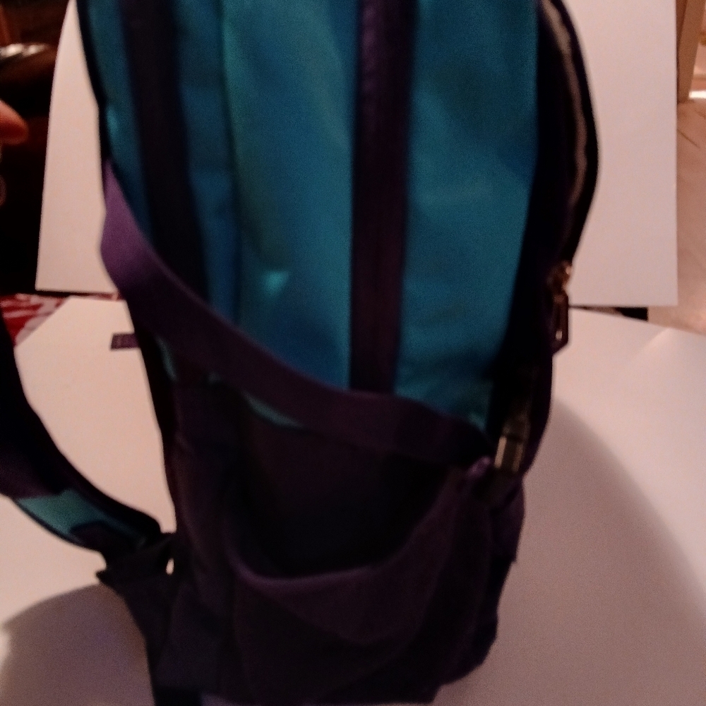 Magellan Outdoors Blue and Purple Backpack with Structured Design. Very Nice!! - Picture 7 of 12